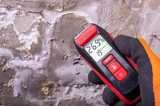 Certified Mold Removal in Alum Rock, CA