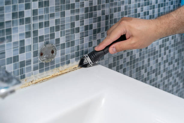 Best Fast Mold Removal  in Alum Rock, CA