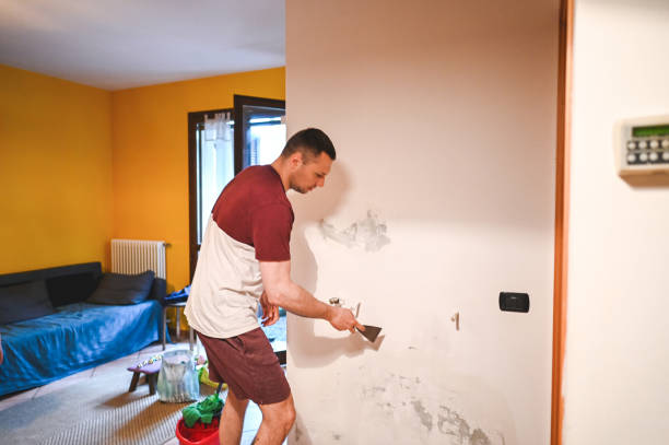 Best Emergency Mold Removal  in Alum Rock, CA